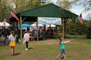 Antrim County Petoskey Stone Festival in Michigan