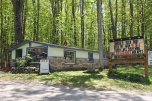 Dinger’s Rock Shop in Michigan’s “Petoskey Stone” region