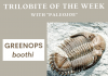 Trilobite of the Week
