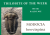 Trilobite of Week logo