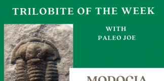 Trilobite of Week logo