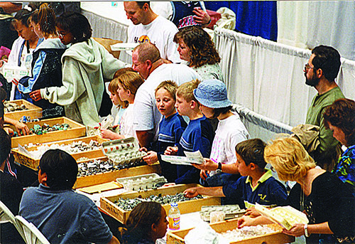 Tucson Gem and Mineral Show