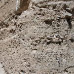 Traces in Ancient Sediments Tell a Deadly Tale Miocene sediment