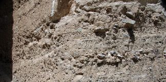 Miocene sediment