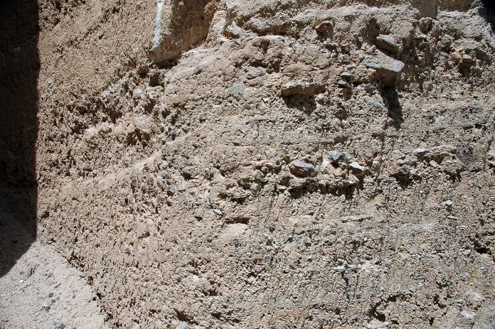 Miocene Rock Miocene sediment