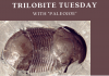 Trilobite of Week logo