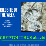 Trilobite of the Week: CRYPTOLITHUS ulrichi Trilobite of Week logo