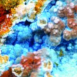 R&G Revisited: Finding Favor With Ceruleite ceruleite