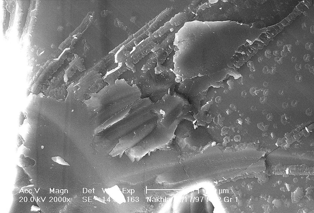 When Fossils Aren’t - Rock & Gem Magazine