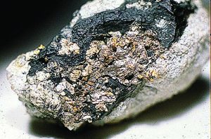 calaverite with native gold