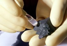 Murchison meteorite