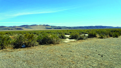 View near Royal Peacock Opal Mine