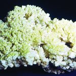 Zinc Metal: A Mysterious Case of Disappearing hopeite