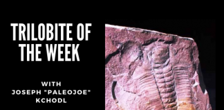 Trilobite of Week logo