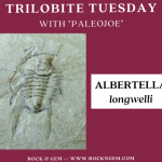 Trilobite of Week logo