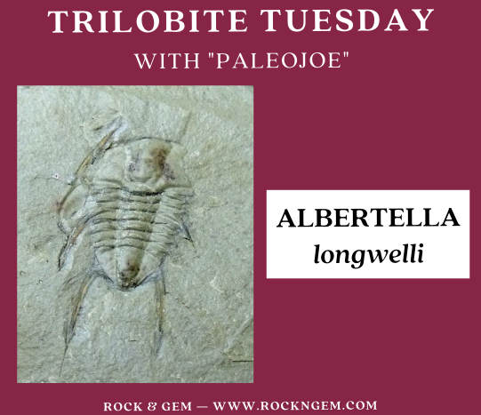 Trilobite of Week logo