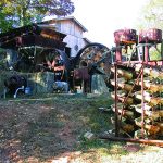 gold-panning-in-georgia