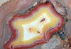 fortification agate close up