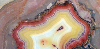 fortification agate close up