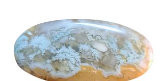 challis plume agate cabochon