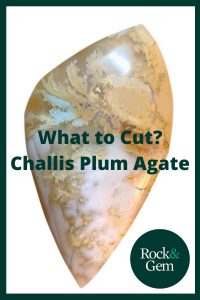 challis-plume-agate