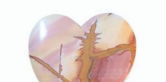 red falcon jasper