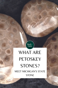 what-are-petoskey-stones