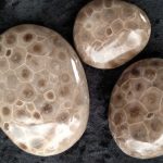 trio of polished petoskey stones