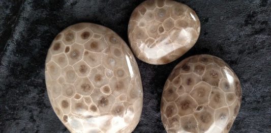 trio of polished petoskey stones