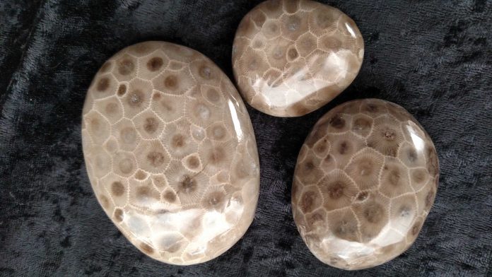what-are-petoskey-stones