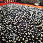 Hunting Herkimer Diamonds herkimer-diamonds