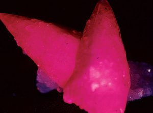 what-makes-minerals-fluorescent