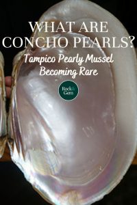what-are-concho-pearls