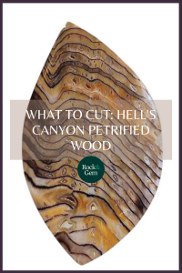 hells-canyon-petrified-wood