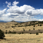 Gold Mining in Colorado gold-mining-in-colorado