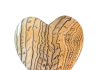hells-canyon-petrified-wood