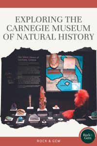 carnegie-museum-of-natural-history