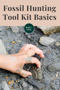 fossil-hunting-tool-kit