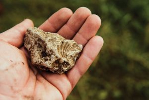 is-it-legal-to-collect-rocks