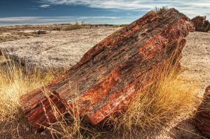 is-it-legal-to-collect-rocks