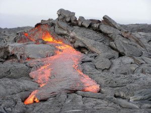 minerals-in-plant-growth