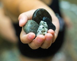 rock-collecting-for-kids