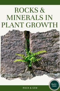 rocks-minerals-in-plant-growth