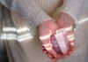rose-quartz