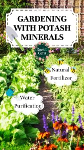 what-are-potash-minerals