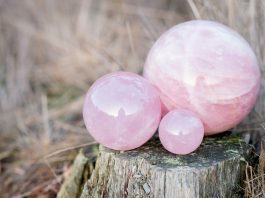Three rose quartz crystal spheres in different sizes resting on a tree in a forest