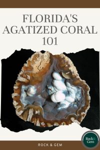 agatized-coral