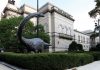 carnegie-museum-of-natural-history