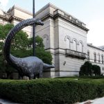 carnegie-museum-of-natural-history