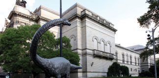 carnegie-museum-of-natural-history